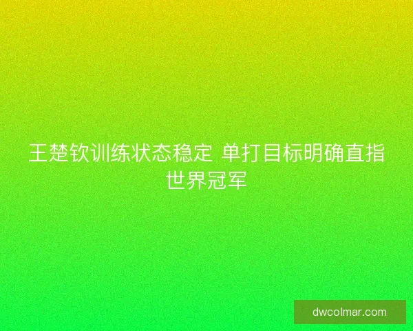 王楚钦训练状态稳定 单打目标明确直指世界冠军 王楚钦训练状态稳定 单打目标明确直指世界冠军