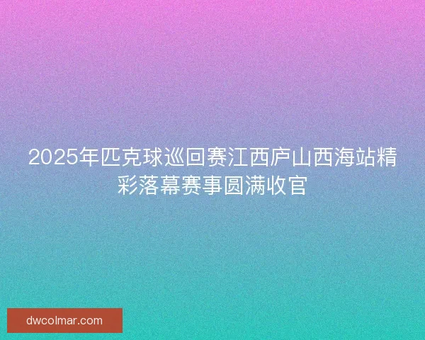 2025年匹克球巡回赛江西庐山西海站精彩落幕赛事圆满收官 2025年匹克球巡回赛江西庐山西海站精彩落幕赛事圆满收官