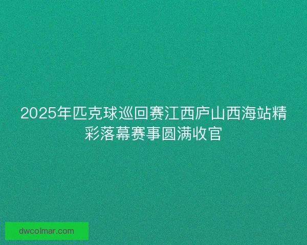 2025年匹克球巡回赛江西庐山西海站精彩落幕赛事圆满收官 2025年匹克球巡回赛江西庐山西海站精彩落幕赛事圆满收官