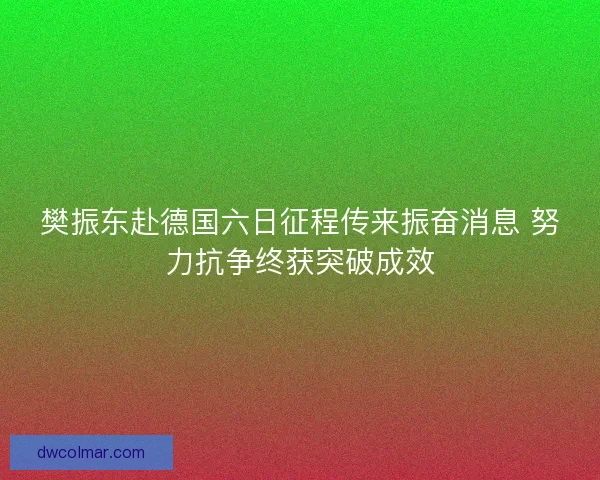 樊振东赴德国六日征程传来振奋消息 努力抗争终获突破成效