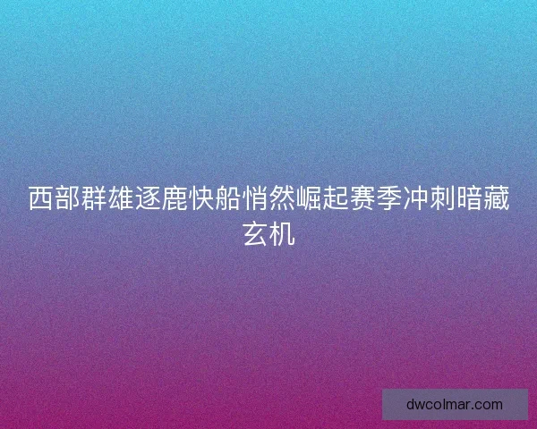 西部群雄逐鹿快船悄然崛起赛季冲刺暗藏玄机